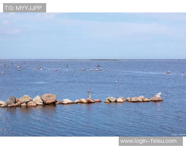 探索哈德森的魅力与历史深度，感受这座城市的独特风情与文化底蕴